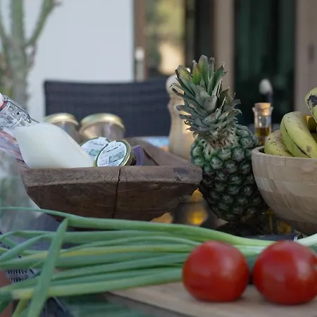 Mountain Retreat Villa Troodos